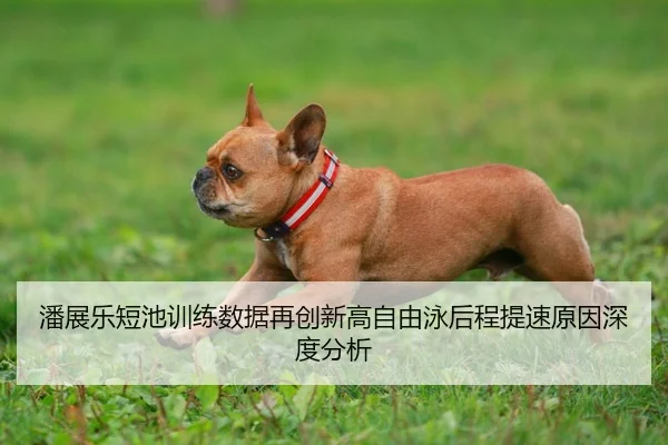 潘展乐短池训练数据再创新高自由泳后程提速原因深度分析
